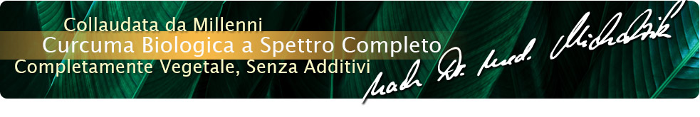 Curcuma bio spettro completo